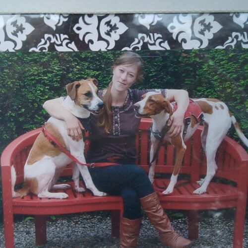 glückliche Frau mit zwei Hunden auf einer Bank im Park